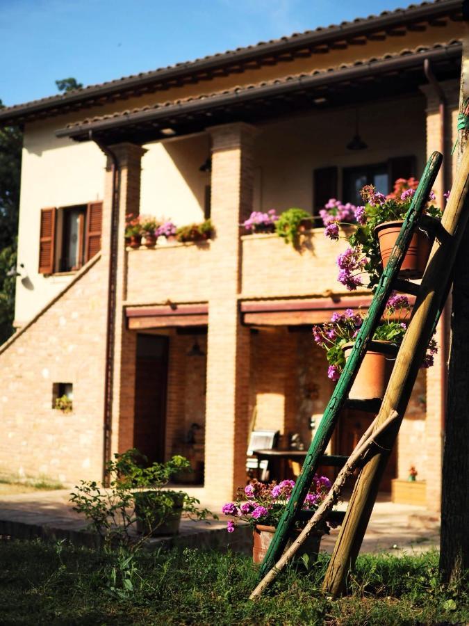 Arcadia Villa Спело Екстериор снимка
